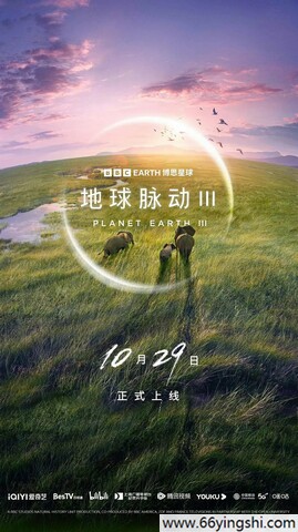 侧躺的日式姿势!up主:终于找到了一个休闲娱乐的好去处！
